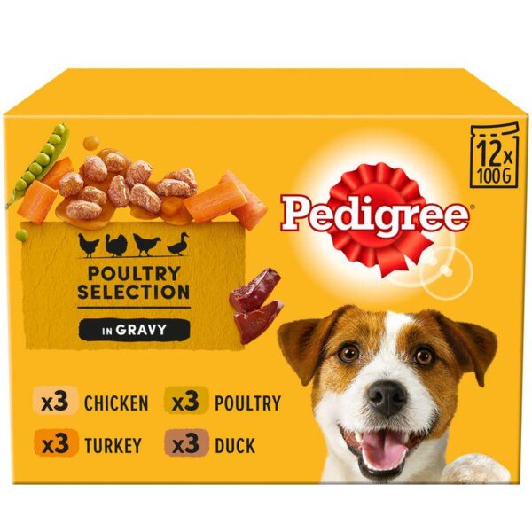 Pedigree Pouch in Gravy Multipack-Alifant Food Supply
