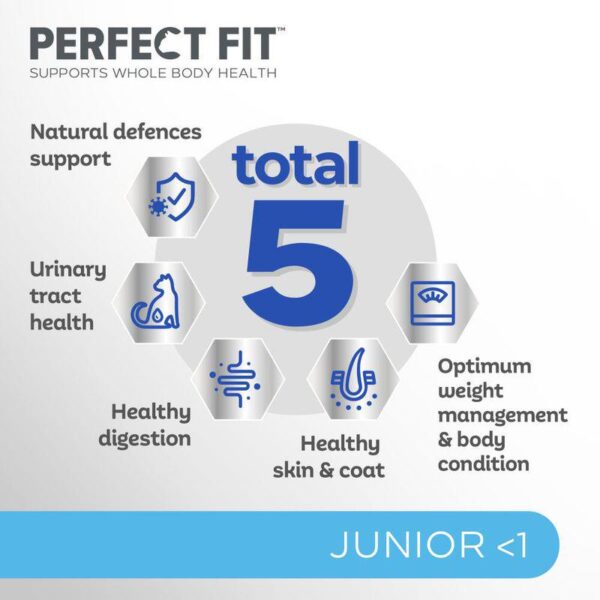 Perfect Fit Junior