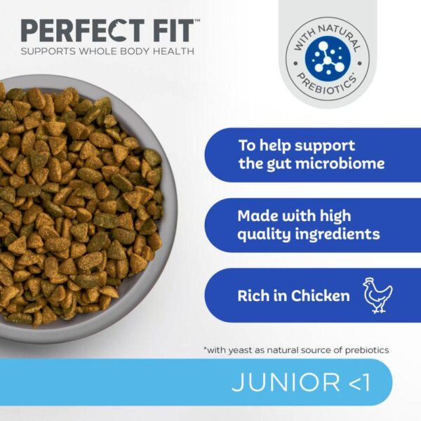 Perfect Fit Junior