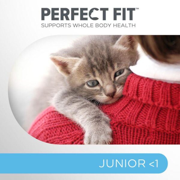 Perfect Fit Junior