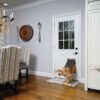 PetSafe® Extreme Weather Pet Door-Alifant Food Supplier