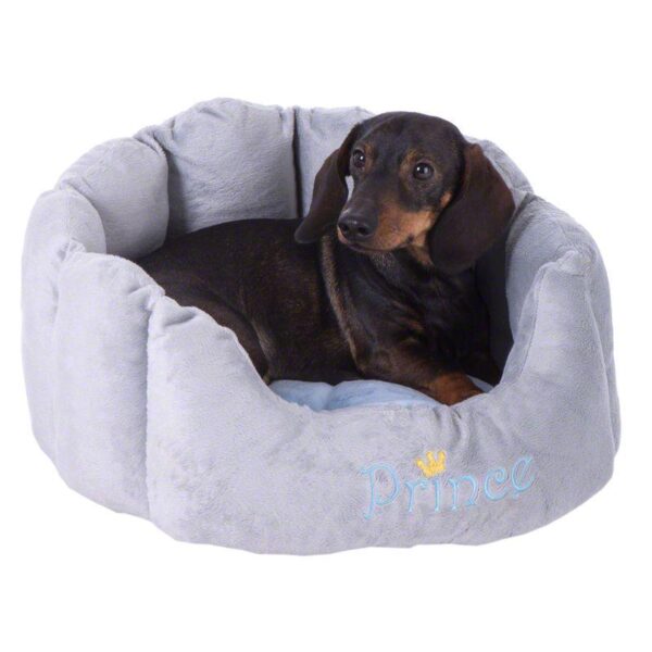 Prince Snuggle Bed - Blue- Alifant Food Supply