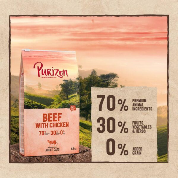 Purizon Adult Grain-Free Beef with Chicken-Alifant Food Supply
