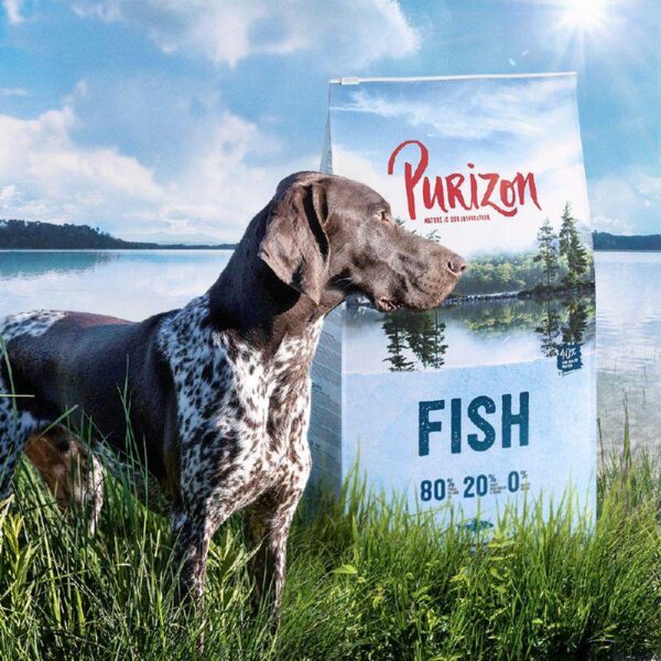 Purizon Fish Adult – Grain-free-Alifant Food Supplier