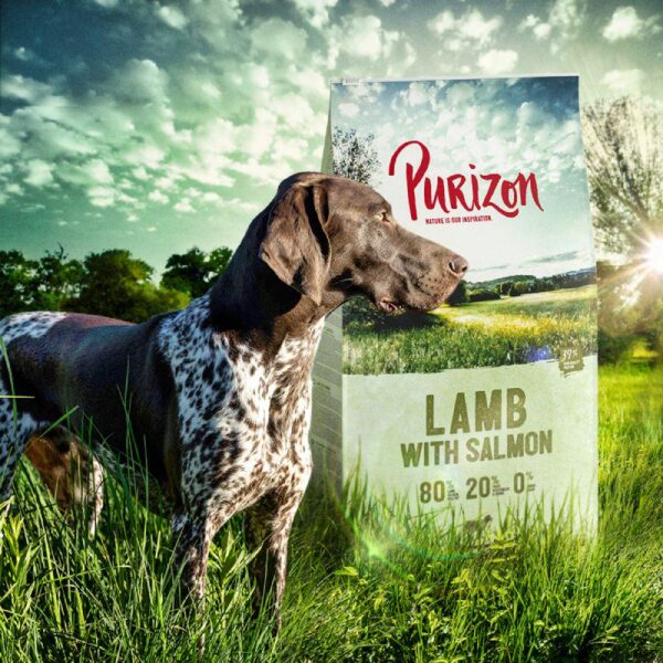 Purizon Lamb with Salmon Adult – Grain-free-Alifant Food Supplier