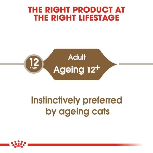 Royal Canin Ageing 12+ in Jelly-Alifant Food Supplier