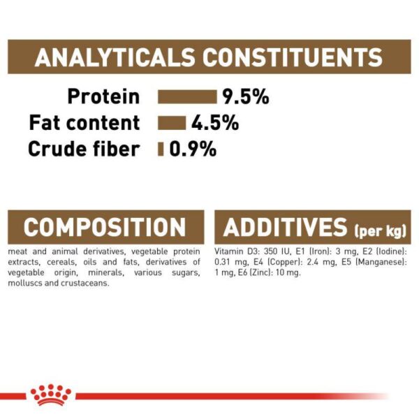 Royal Canin Ageing 12+ in Jelly-Alifant Food Supplier