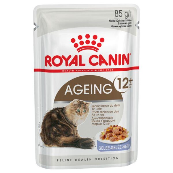 Royal Canin Ageing 12+ in Jelly-Alifant Food Supplier