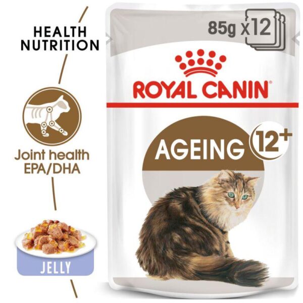 Royal Canin Ageing 12+ in Jelly-Alifant Food Supply