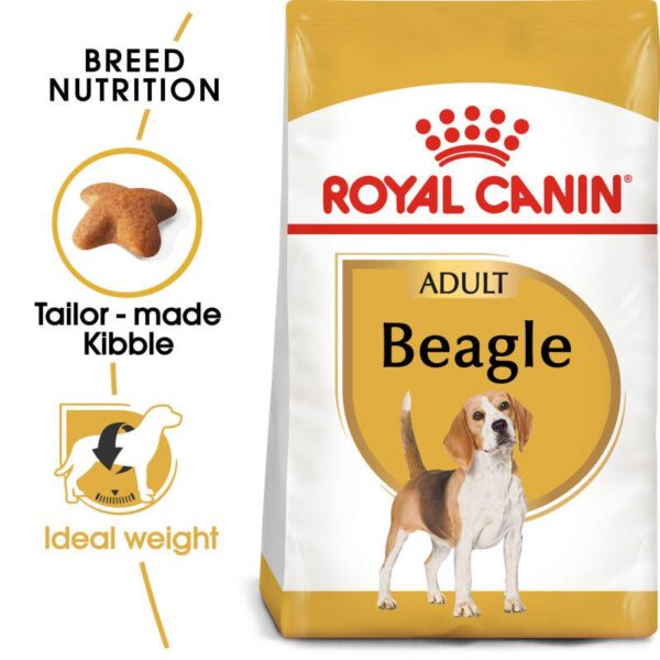 Royal Canin Beagle Adult-Alifant Food Supplier