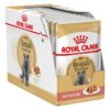 Royal Canin British Shorthair Adult in Gravy-Alifant Food Supply