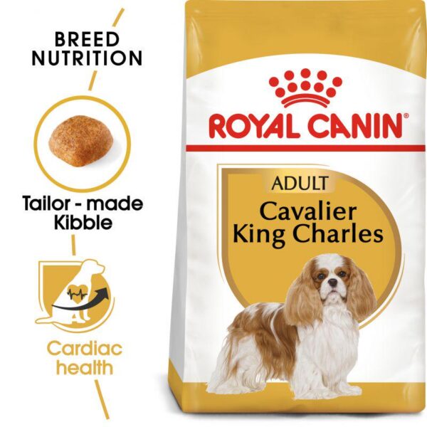 Royal Canin Cavalier King Charles Adult-Alifant Food Supply