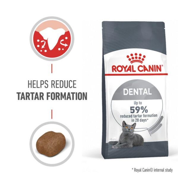 Royal Canin Dental Care-Alifant Food Supply
