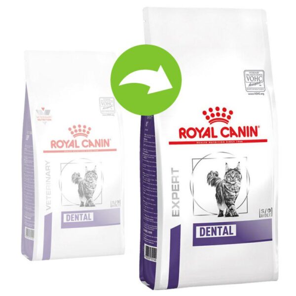 Royal Canin Expert Dental Cat-Alifant Food Supplier