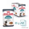 Royal Canin Hairball Care in Gravy-Alifant supplier