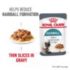 Royal Canin Hairball Care in Gravy-Alifant supplier