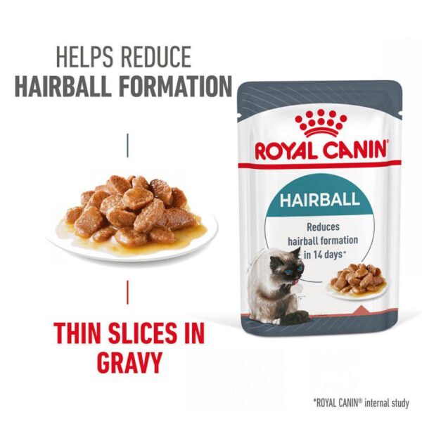 Royal Canin Hairball Care in Gravy-Alifant supplier