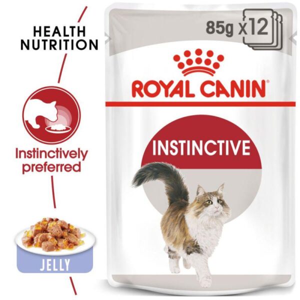 Royal Canin Instinctive in Jelly-Alifant Food Supply