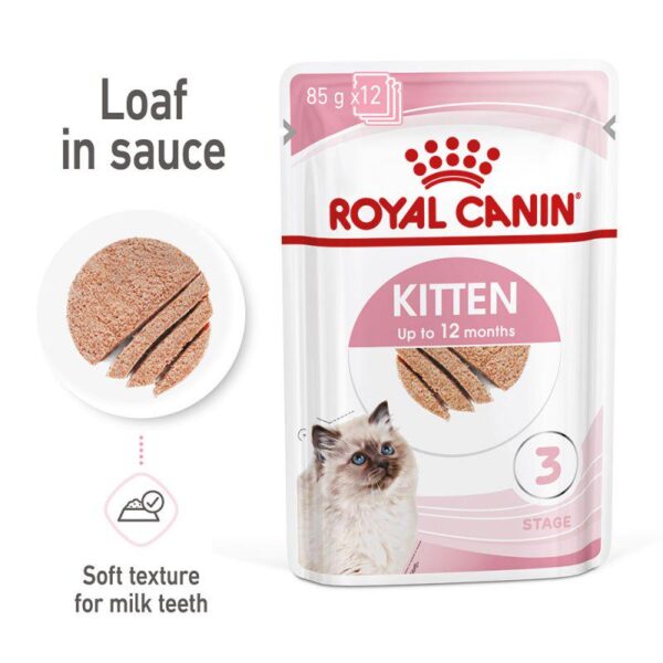 Royal Canin Kitten in Loaf-Alifant Food Supply