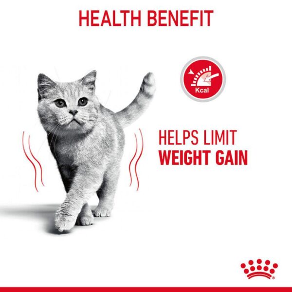 Royal Canin Light Weight Care in Gravy- Alifant Food Supplier