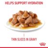 Royal Canin Light Weight Care in Gravy- Alifant Food Supplier