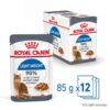 Royal Canin Light Weight Care in Gravy- Alifant Food Supplier