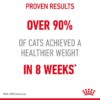 Royal Canin Light Weight Care in Gravy- Alifant Food Supplier