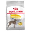 Royal Canin Maxi Dermacomfort-Alifant Food Supplier