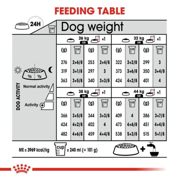 Royal Canin Maxi Dermacomfort-Alifant Food Supplier