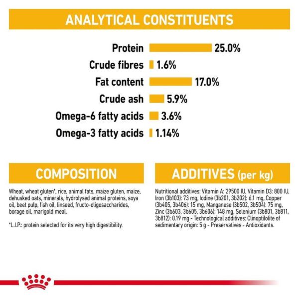 Royal Canin Maxi Dermacomfort-Alifant Food Supplier