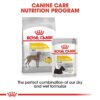 Royal Canin Maxi Dermacomfort-Alifant Food Supplier