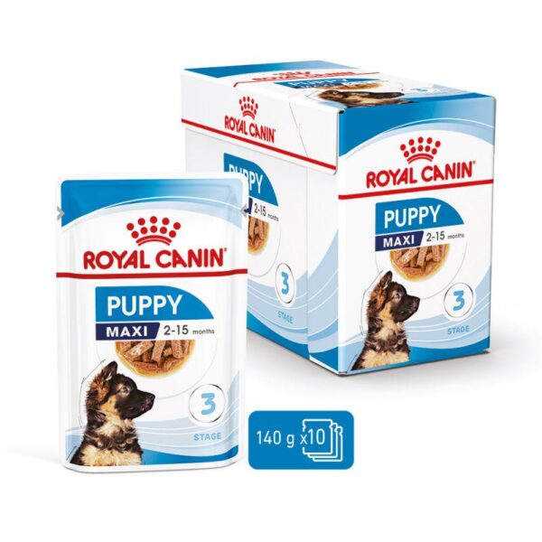 Royal Canin Maxi Puppy in Gravy-Alifant Food Supplier