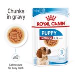 Royal Canin Medium Puppy in Gravy-Alifant Food Supplier