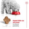 Royal Canin Mini Adult 8+_Alifant Food Supplier