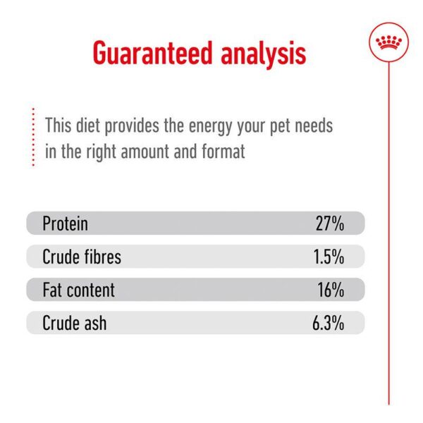 Royal Canin Mini Adult 8+_Alifant Food Supplier