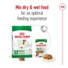 Royal Canin Mini Adult 8+_Alifant Food Supplier