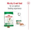 Royal Canin Mini Adult 8+_Alifant Food Supplier