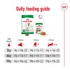 Royal Canin Mini Adult 8+_Alifant Food Supplier