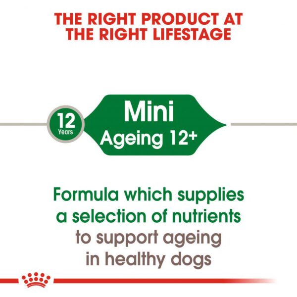 Royal Canin Mini Ageing 12+ in Gravy-Alifant Food Supplier