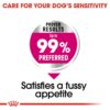 Royal Canin Mini Exigent-Alifant Food Supplier