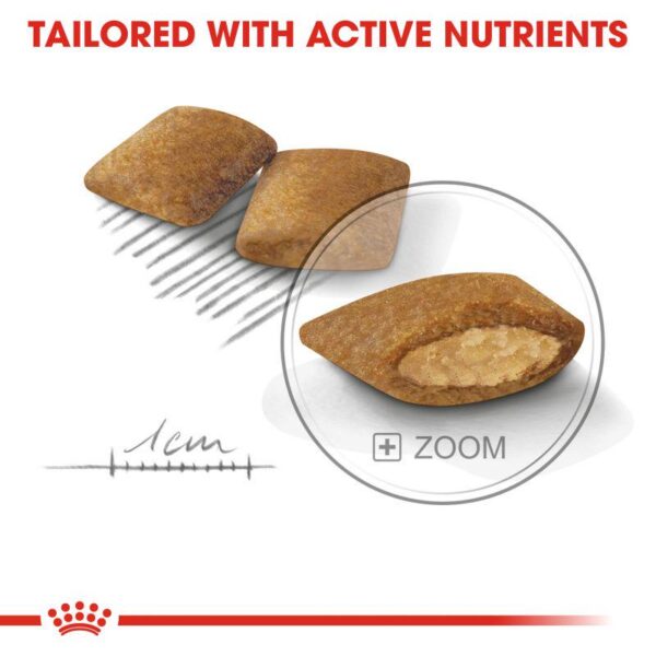 Royal Canin Mini Exigent-Alifant Food Supplier