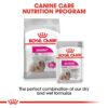 Royal Canin Mini Exigent-Alifant Food Supplier