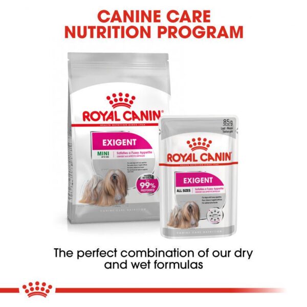 Royal Canin Mini Exigent-Alifant Food Supplier