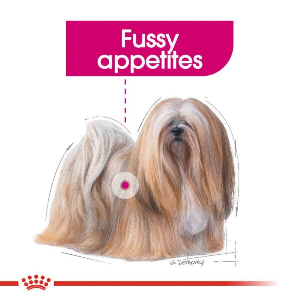 Royal Canin Mini Exigent-Alifant Food Supplier