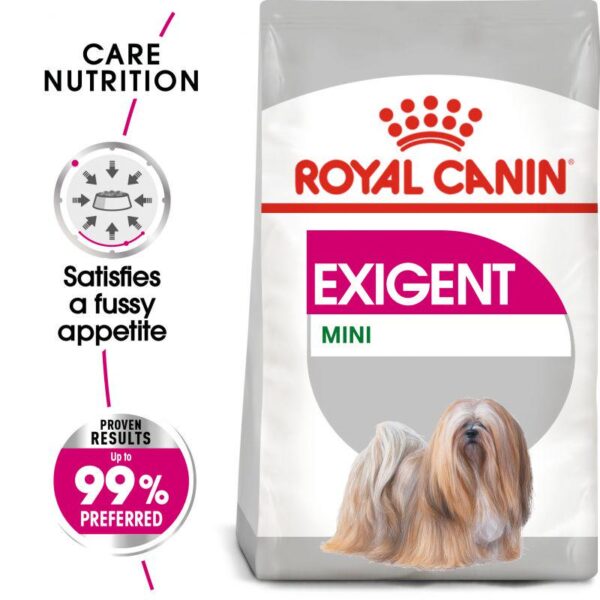 Royal Canin Mini Exigent-Alifant Food Supplier