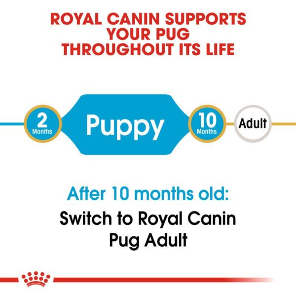 Royal Canin Pug Puppy-Alifant Food Supplier