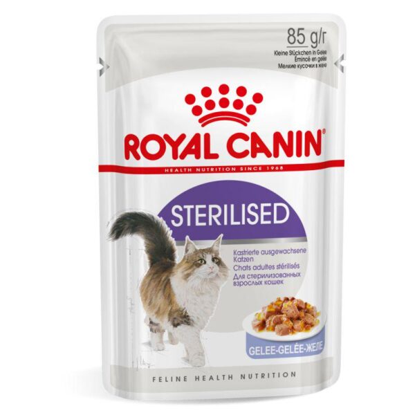 Royal Canin Sterilised in Jelly - Alifant Food Supplier