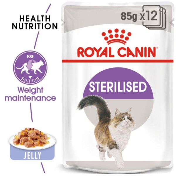 Royal Canin Sterilised in Jelly-Alifant Food Supply
