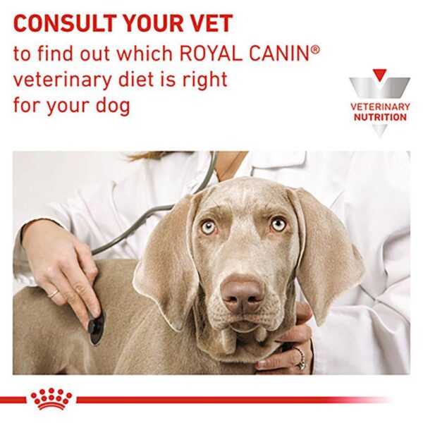 Royal Canin Veterinary Dog - Urinary S/O LP 18-Alifant Food Supplier