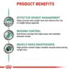 Royal Canin Veterinary Cat - Satiety Weight Management-Alifant Food Supplier